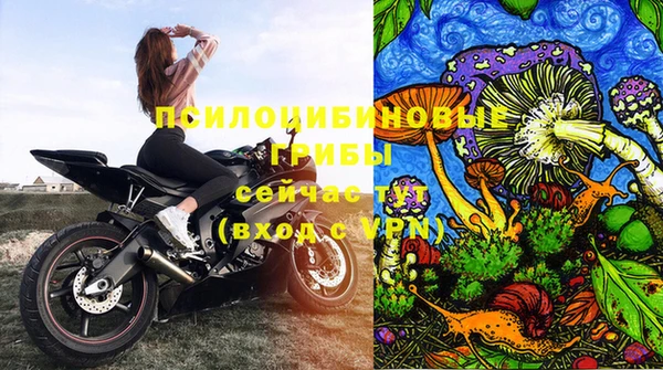 стафф Медвежьегорск